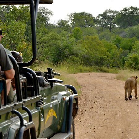Kruger Safari Lodge Manyeleti Game Reserve Εξωτερικό φωτογραφία