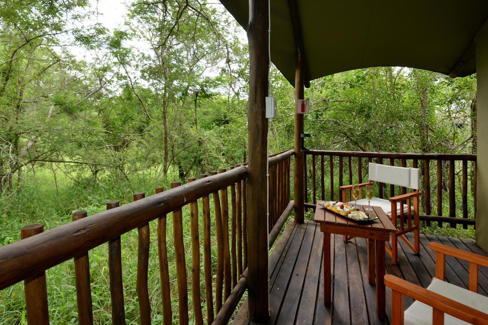 Kruger Safari Lodge Manyeleti Game Reserve Εξωτερικό φωτογραφία