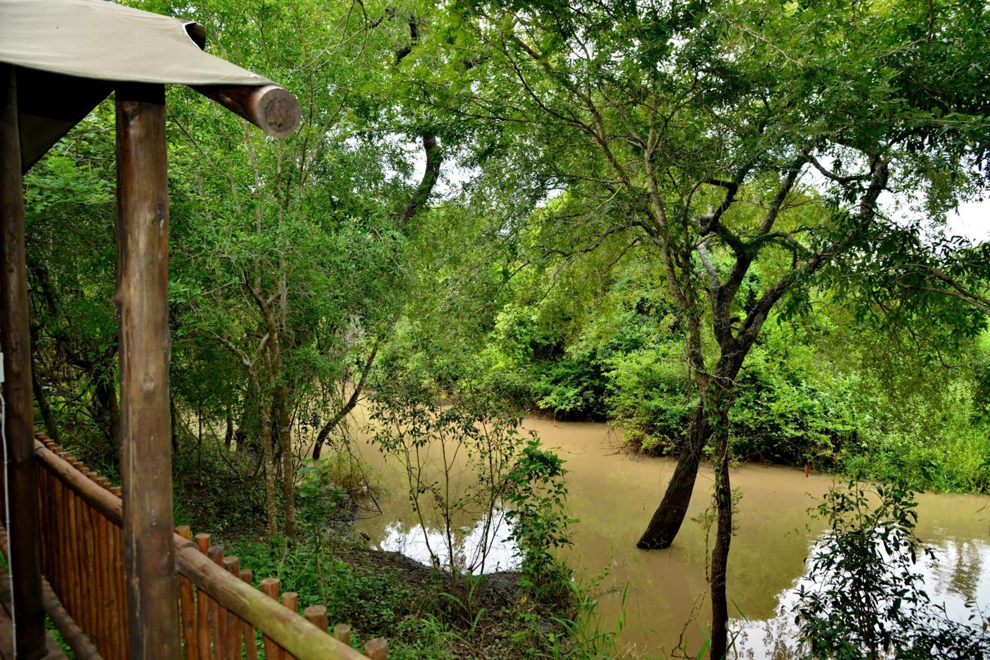 Kruger Safari Lodge Manyeleti Game Reserve Εξωτερικό φωτογραφία