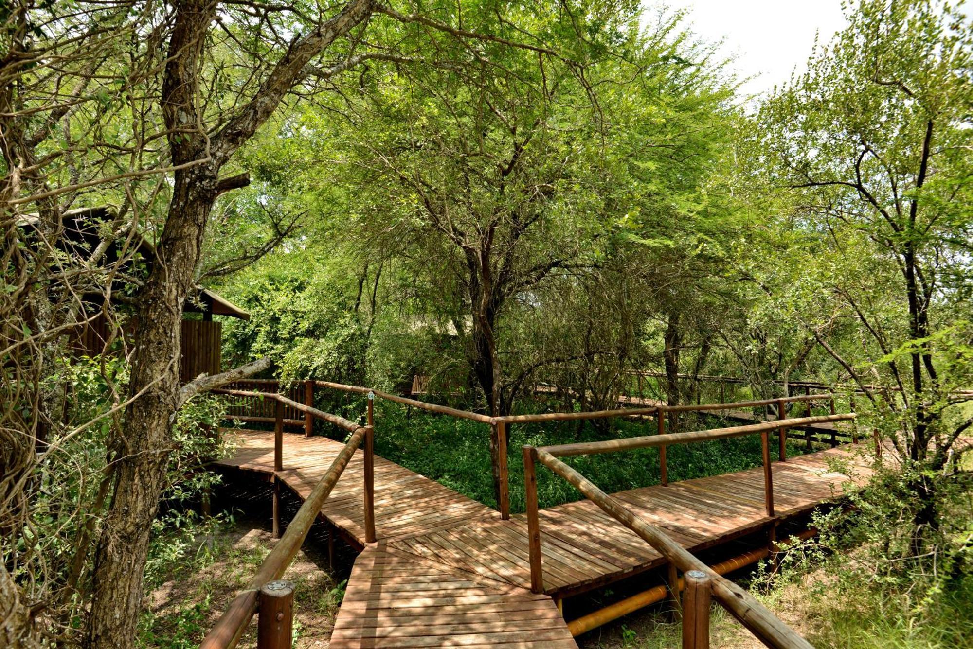 Kruger Safari Lodge Manyeleti Game Reserve Εξωτερικό φωτογραφία